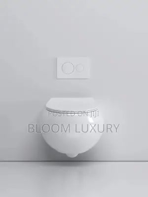 Egg Shaped Conceal Toilet Available