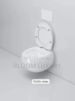 Egg Shaped Conceal Toilet Available