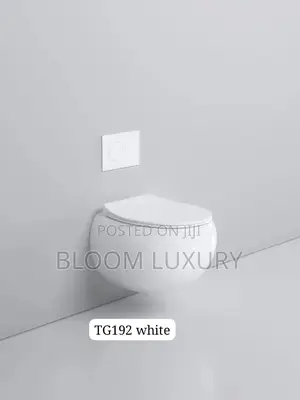 Egg Shaped Conceal Toilet Available