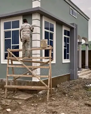 House Designer Painter
