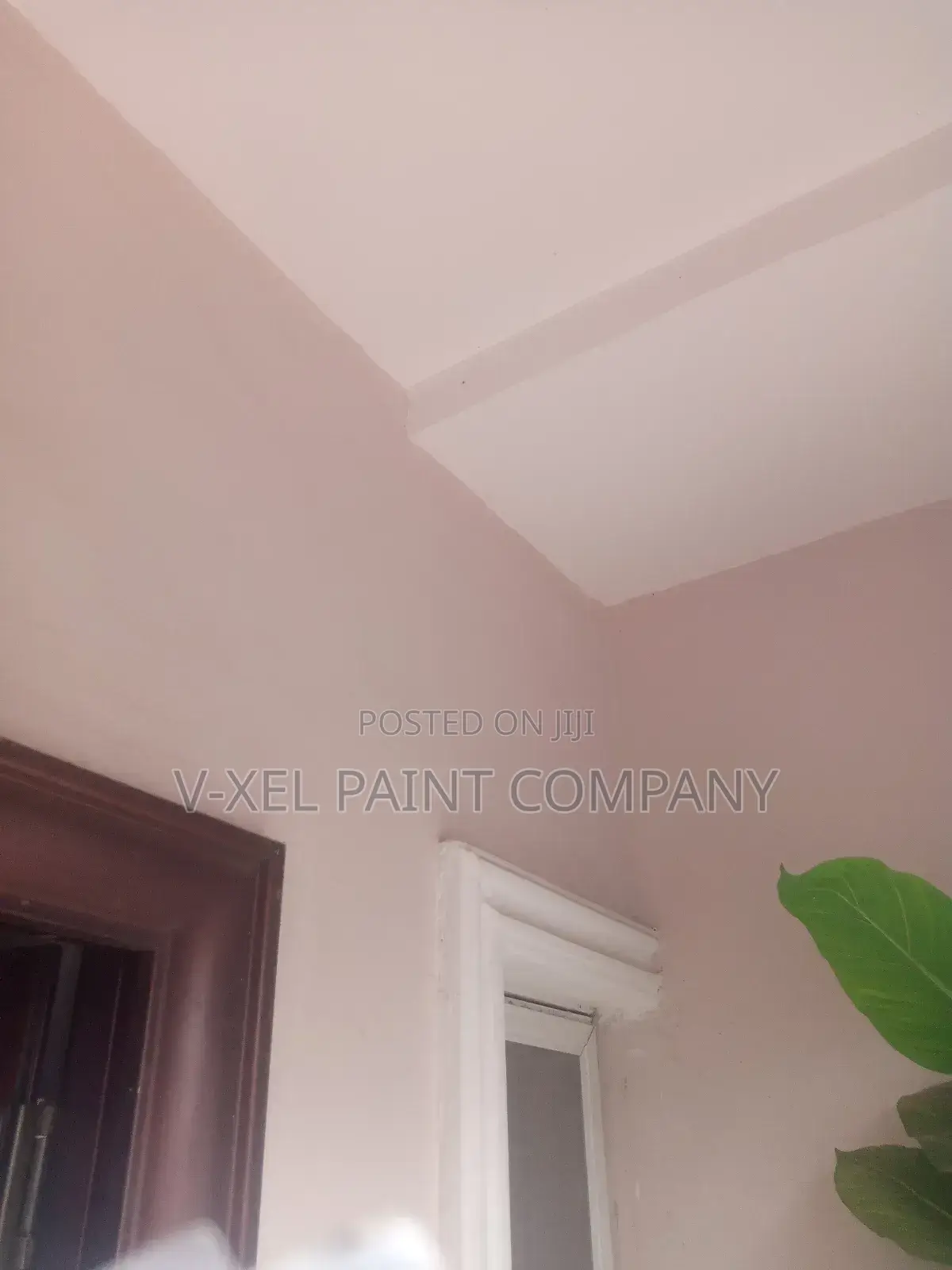 House Designer Painter