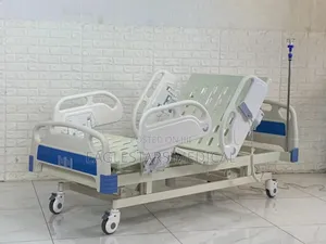 5 Functions Eletric Bed