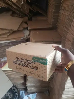 Branded Boxes (2 Color Printing)