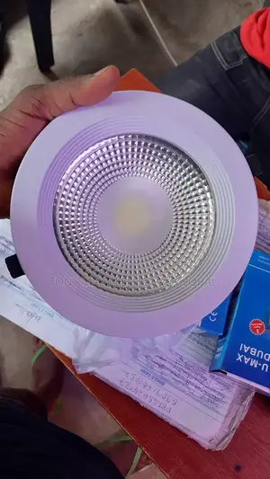 20w Cob Light