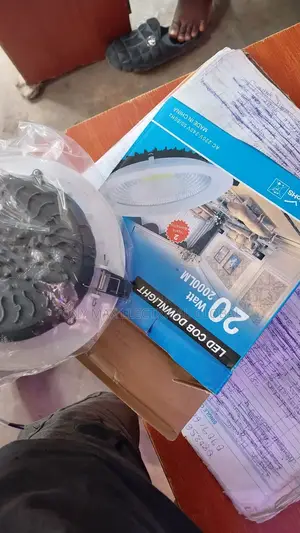 20w Cob Light