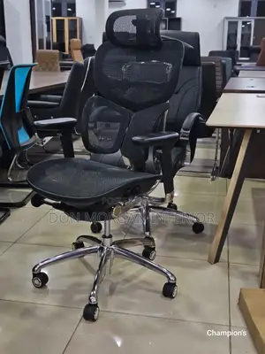 Autopedic Net Chair for Directors