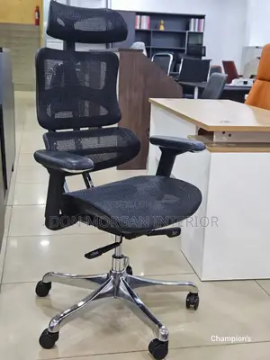 Autopedic Quality Net Chair for Directors