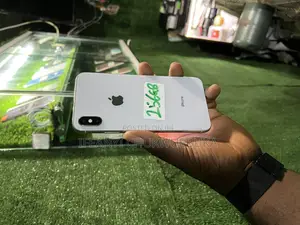 Apple iPhone XS Max 256 GB Silver