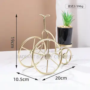 Luxury Bicycle Decor