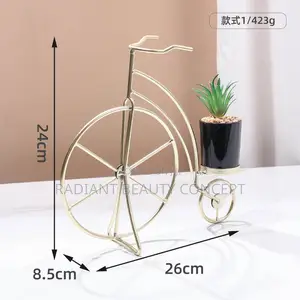 Luxury Bicycle Decor