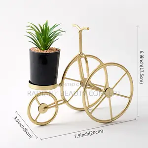 Luxury Bicycle Decor