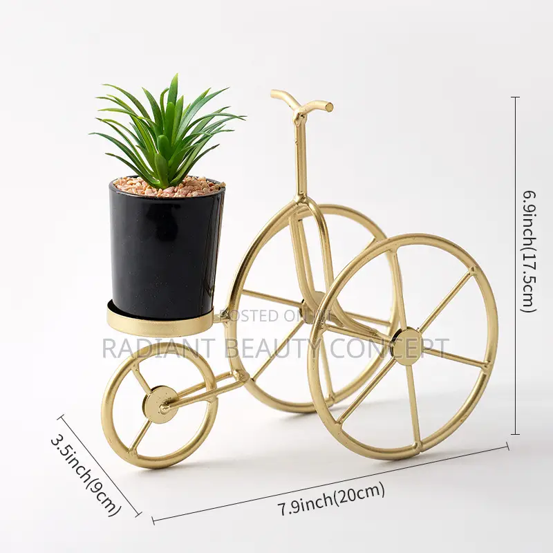 Luxury Bicycle Decor