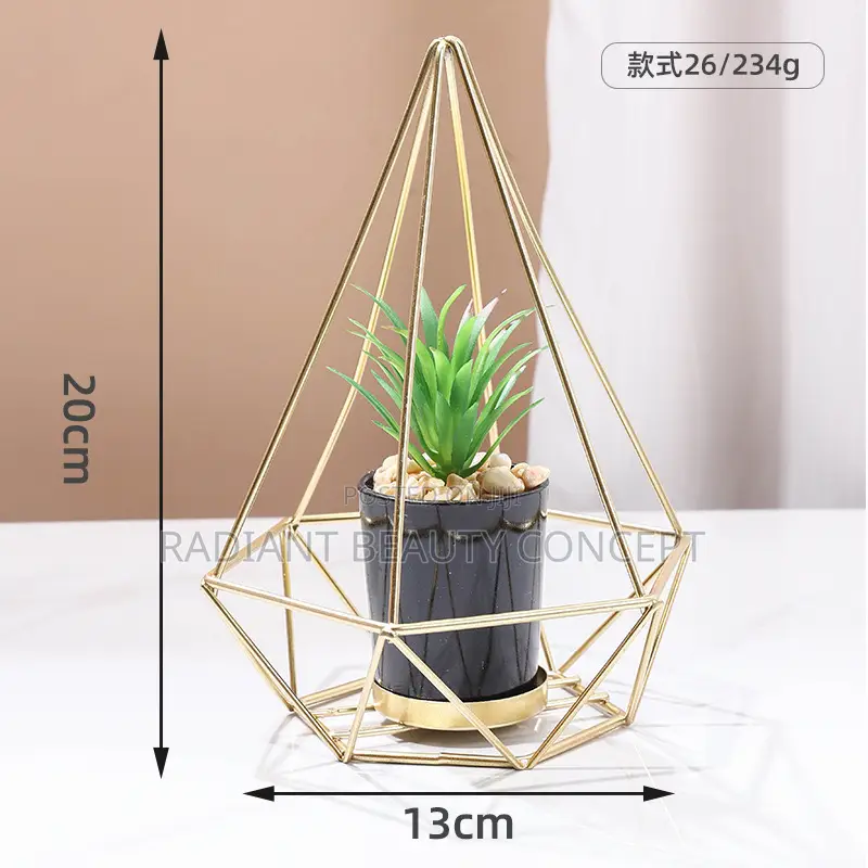 Luxury Bicycle Decor