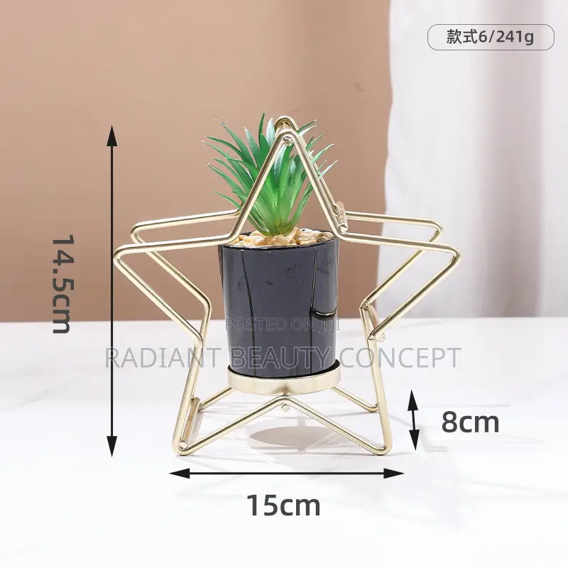 Luxury Bicycle Decor