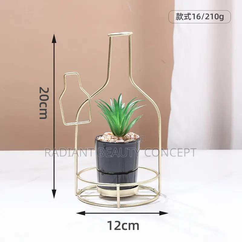 Luxury Bicycle Decor