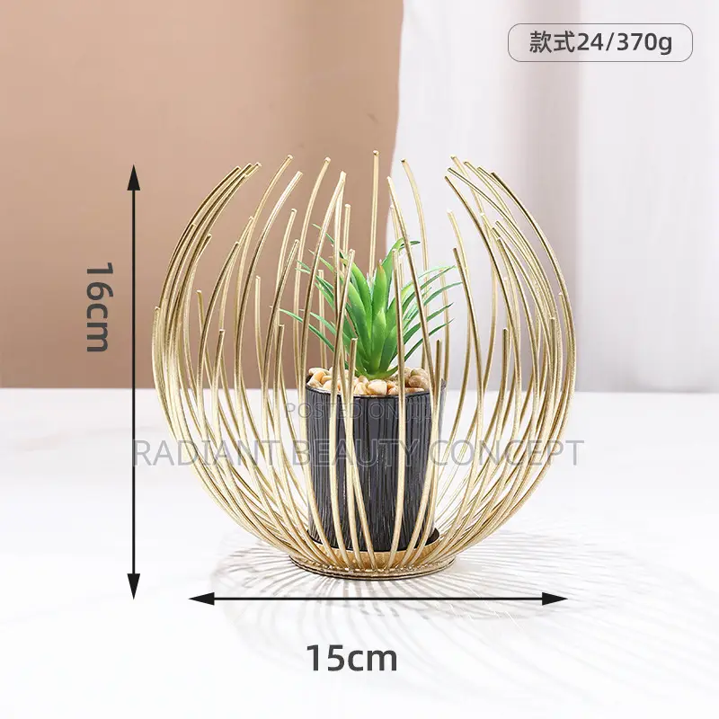 Luxury Bicycle Decor