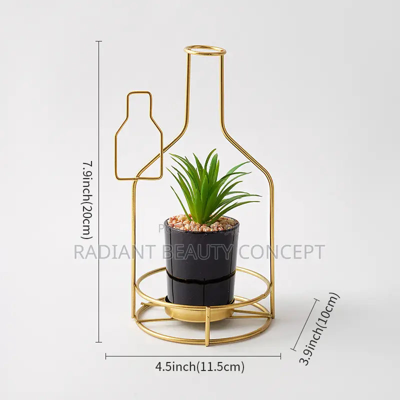 Luxury Bicycle Decor