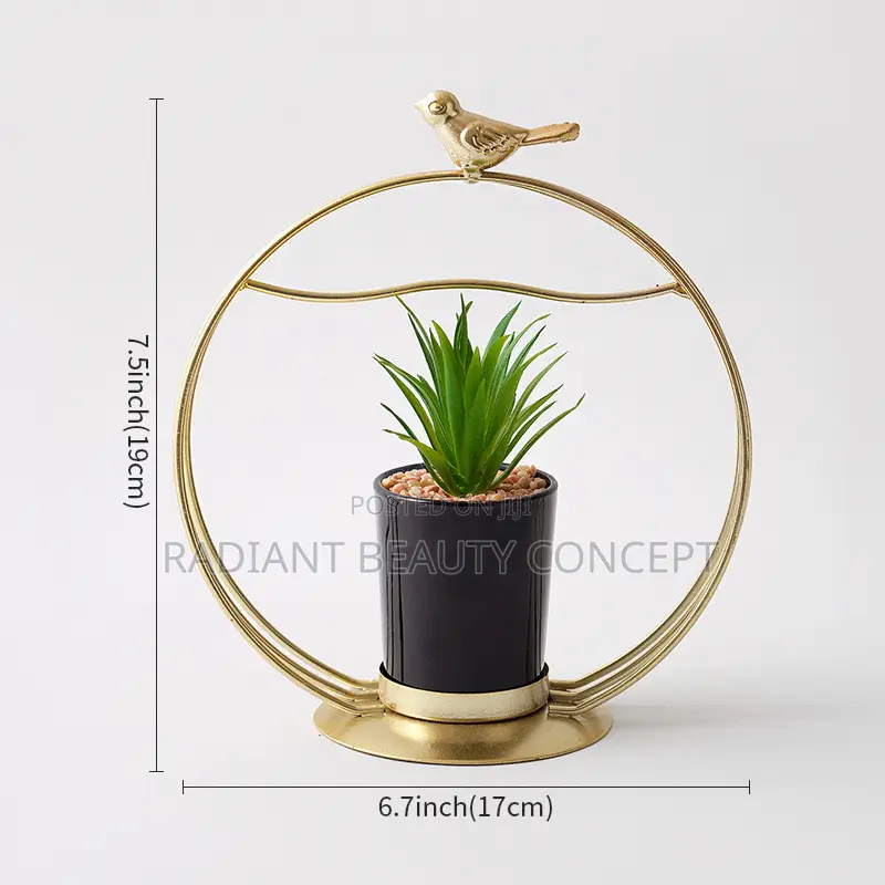 Luxury Bicycle Decor