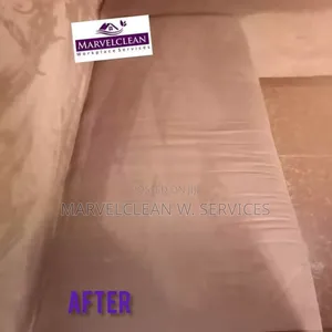 Upholstery Cleaning