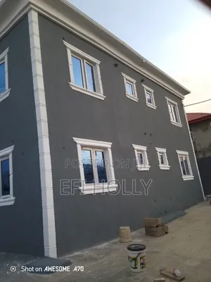 Professional House Painter and Paint Production