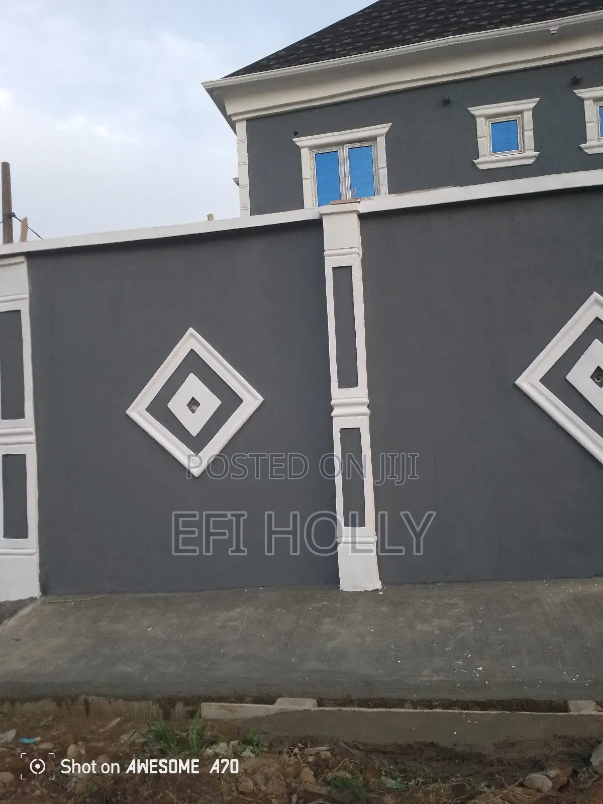Professional House Painter and Paint Production