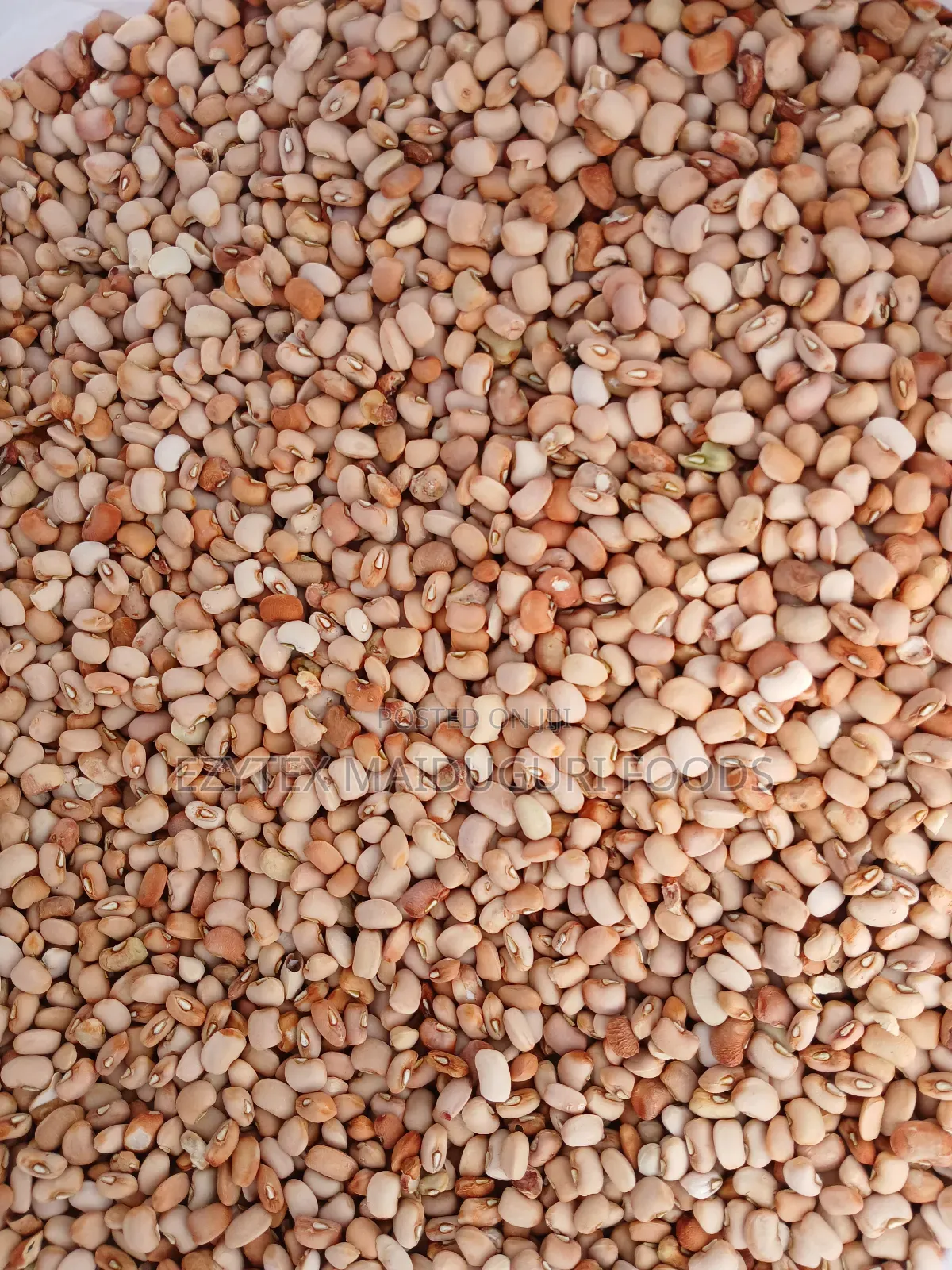 Picked Honey Beans Grade 1