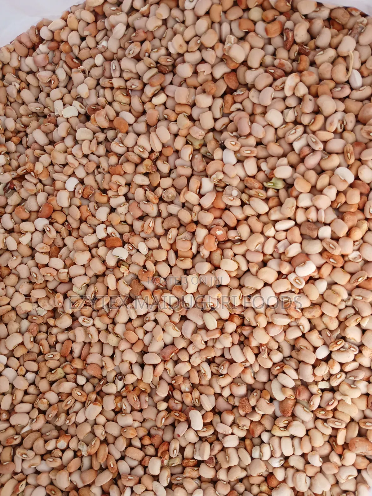 Picked Honey Beans Grade 1