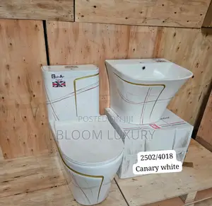 Executive Masters Water Closets With Wall Hung Basin