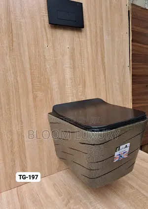 Beautiful Quality Conceal Toilet