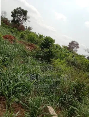 Photo - 1plot Of Land Along Sagamu -iperu Express Way Opp Ladi Farm