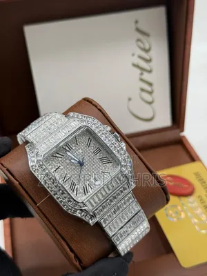 Cartier Ice Stones Silver Wristwatch