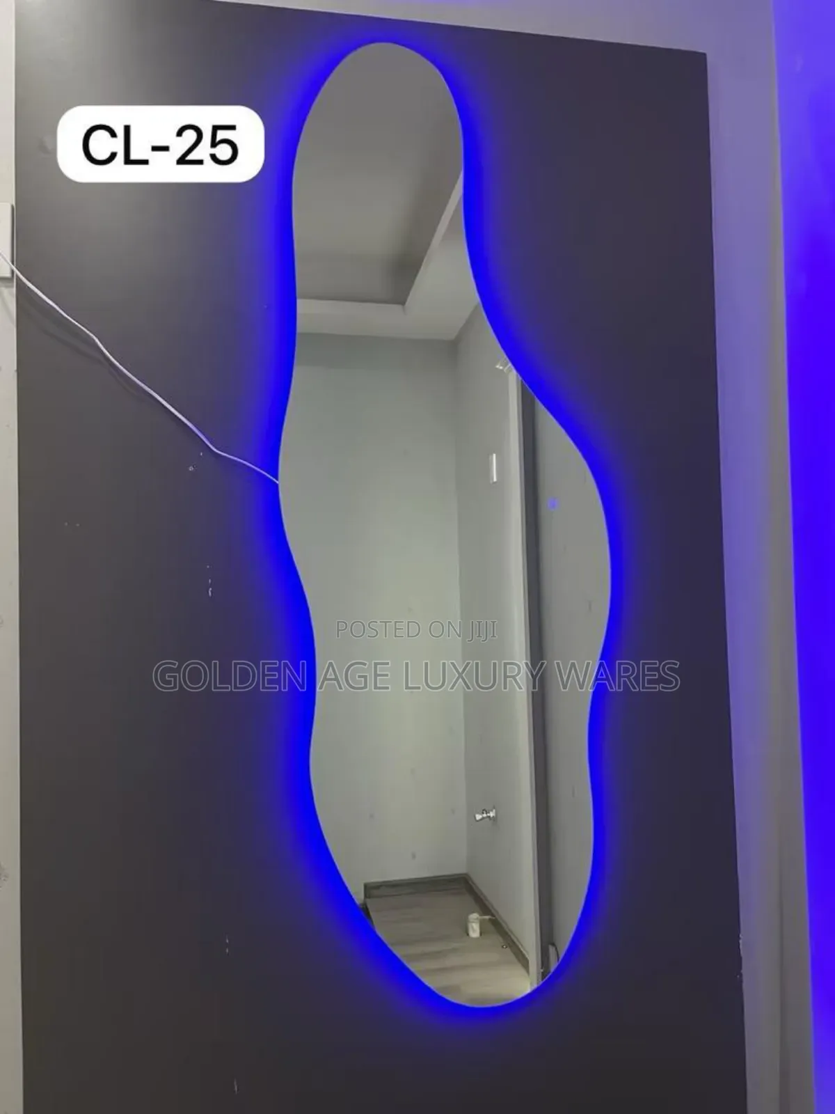 Dolphin Shaped Mirror