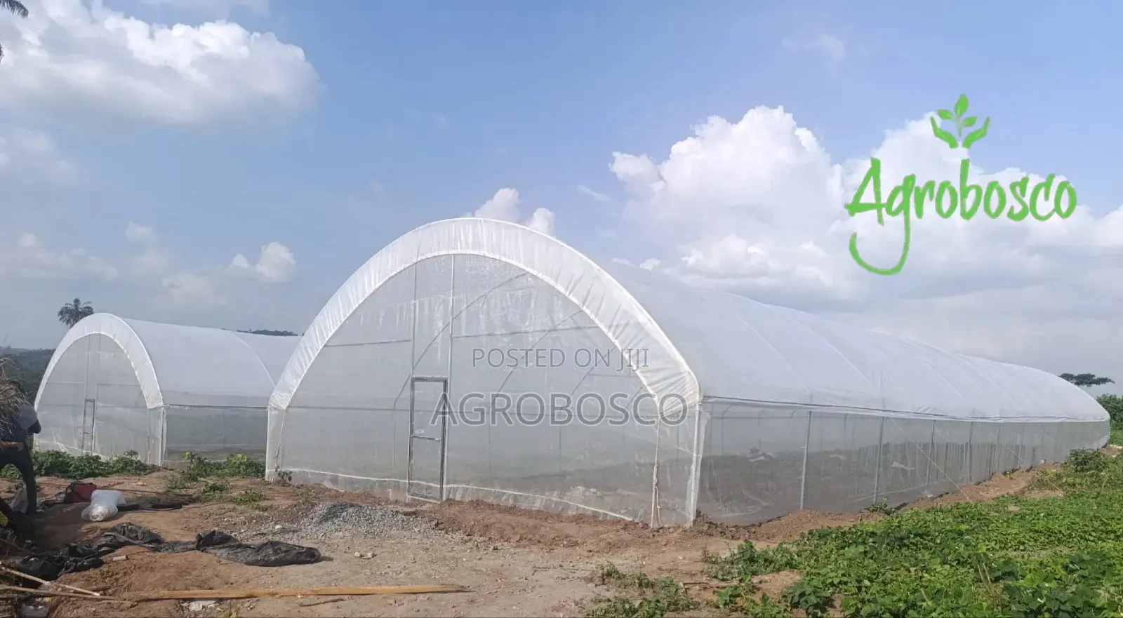 Greenhouse