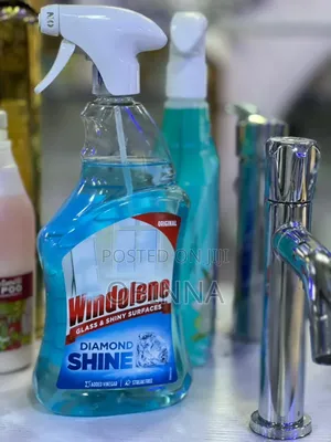 Windowlone Glass N Shinny Surplus Cleaner
