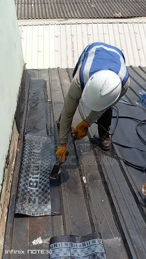 Irreproachable Waterproofing Genius