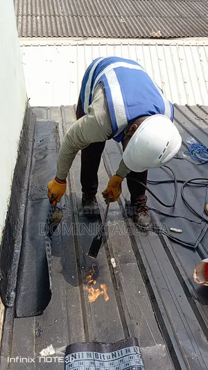 Irreproachable Waterproofing Genius