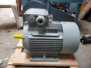Hot Sales 3phase Induction Siemens Motor 5.5HP