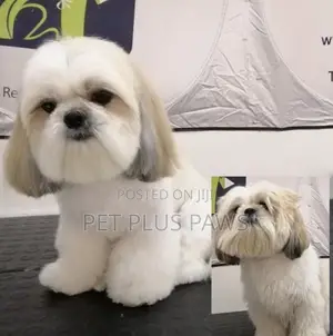 Home Service Pet Grooming