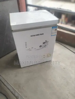 Hailang 38 LTRS Hongkong Factory Fitted Mini Freezer