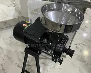 Wet and Dry Grinder