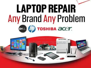 Expert in Computer Maintenance