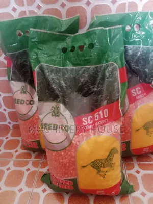 Grains Seeds for Sale