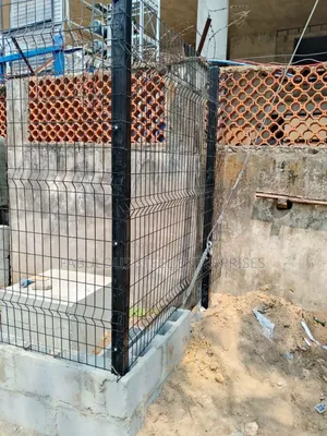 Wire Mesh 2 X 4 Black Colour
