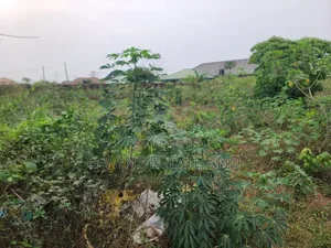 For Sale 200ft by 200ft Four Plots at Amagba Gra