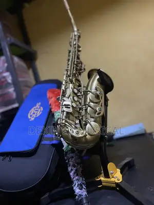 Henri Selmer Paris Alto Saxophone Bronze