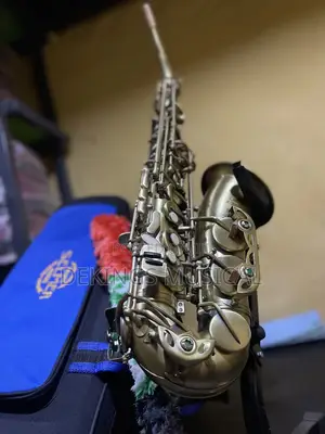 Henri Selmer Paris Alto Saxophone Bronze