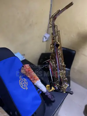 Henry Selmer Paris Alto Saxophone Silver Gold