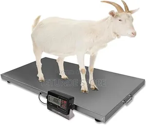 Pet Livestock Digital Scale