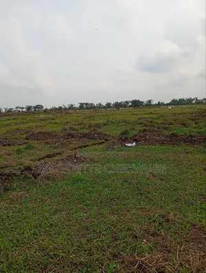 Four Plots of Land