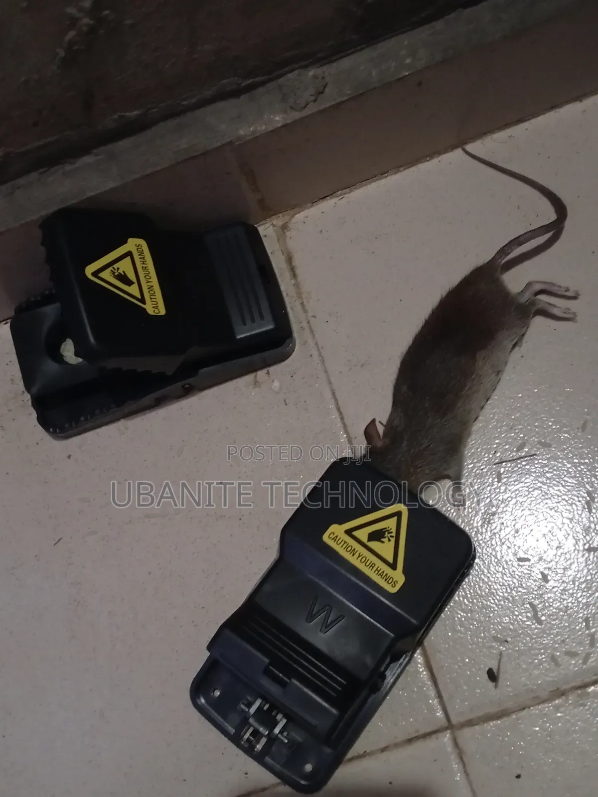 Rat Traps With Quality Spring and Body